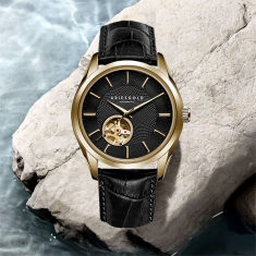 dong-ho-aries-gold-ag-g9022-g-bk