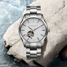 dong-ho-aries-gold-ag-g9022-s-w