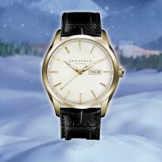 dong-ho-aries-gold-ag-g9034-g-w