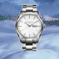 dong-ho-aries-gold-ag-g9034-s-w