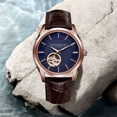 dong-ho-aries-gold-ag-g9022-rg-bu