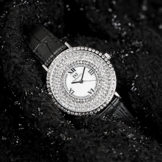 dong-ho-diamond-d-dd6013a