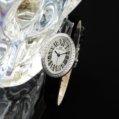 dong-ho-diamond-d-dm1005s-b